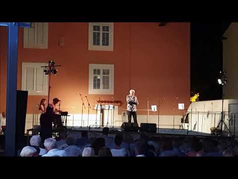 Ausschnitte aus Klape Ceprlji vom 4.7.2019 in Novalja (Pag)