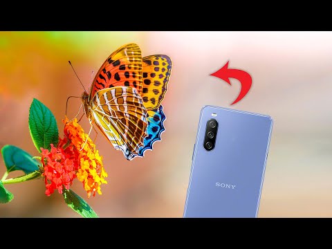 Sony Xperia 10 iii Camera Test - Best Camera