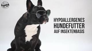 Bellfor - Hypoallergenes Hundefutter auf Insektenbasis