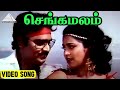 செங்கமலம் Video Song Dhavani Kanavugal Movie Song Bhagyaraj Radhika Ilaiyaraaja