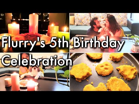 Flurry The Shih Tzu's 5th Birthday | HEALTHY HOMEMADE Dog Food Recipe *MUTTON* Video