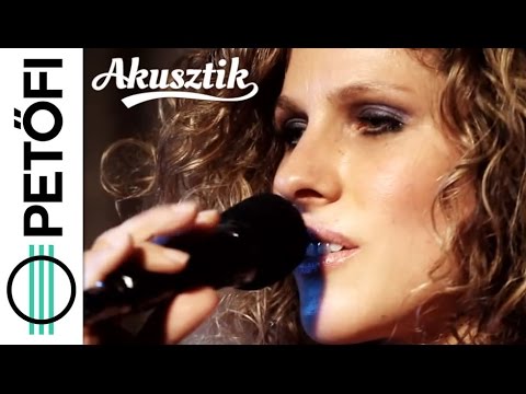 Fábián Juli és Zoohacker Remake Orchestra - Lalalley (Petőfi Rádió Akusztik)