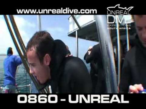 UnrealDive - 2 Min Promo
