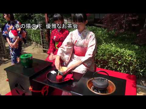 哲学堂の四季　春