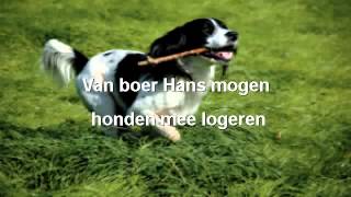 preview picture of video 'Vakantiewoning Texel Honden Toegestaan'