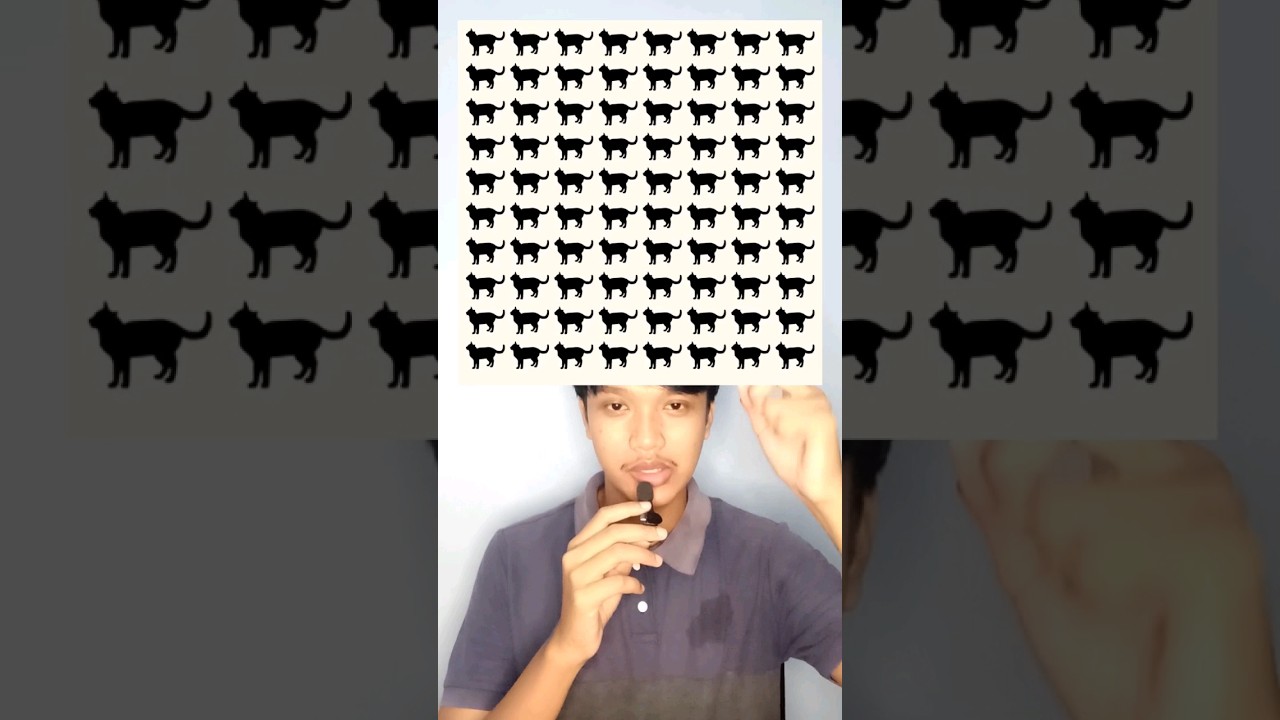 Temukan Gambar Kucing Yang Berbeda #shorts #animals #kucing