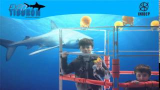 DIA 2 Expo Tiburon202