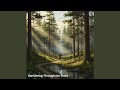 Wandering Through the Pines