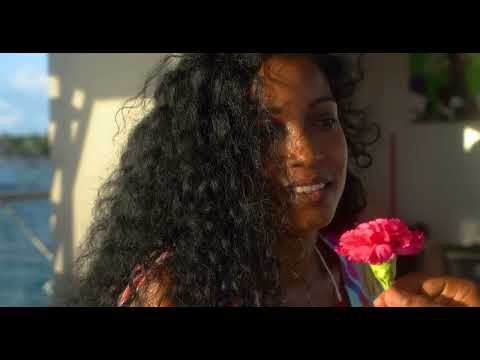 Twidjy - Sugar (Clip Officiel)