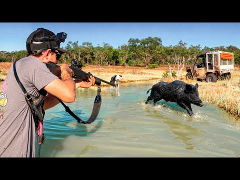 Solo Pig Hunting Mission in Remote Coastal Floodplains - Dogs Buggies & Barramundi