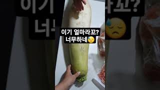 제주산 무 단돈3000원 무김치담그면 석달열흘은 먹겠음. #농민은힘들다 #농산물빼고다오름 #shorts