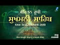 🙏🏻💐Kirtan Roopi Sukhmani Sahib Path💙💜💕💕 in Love with Gurubani Vibes 🌸🌸💙💙💕💕