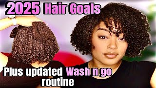 2025 Natural Hair Goals | Updated Wash n Go