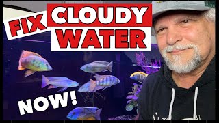 My Tips for HOW to CLEAR UP CLOUDY AQUARIUM WATER *NOW* [Let