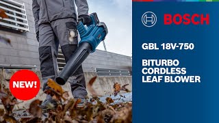 BOSCH GBL 18V-750