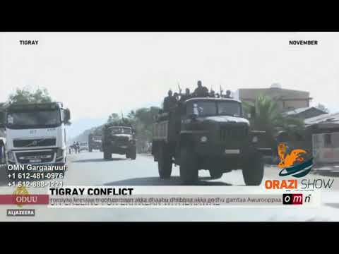 Guyo Wariyo Aba-Jirma  Xiyyitii isaa Isaa qabatee dhufee jira *Turtii Guyyoo Wariyo Hordofaa*,