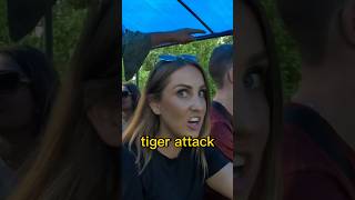 Tiger Attack in Nepal🇳🇵🐅