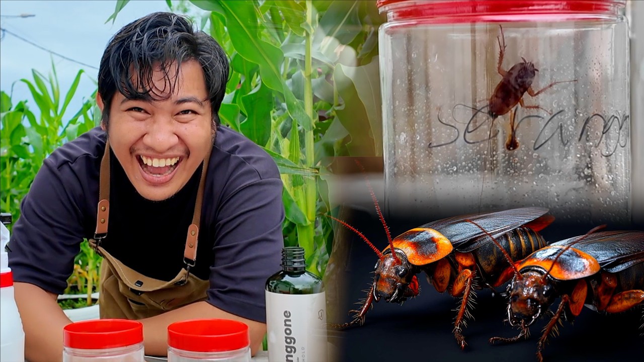 Kami Test Racun Toksik vs Racun Organik