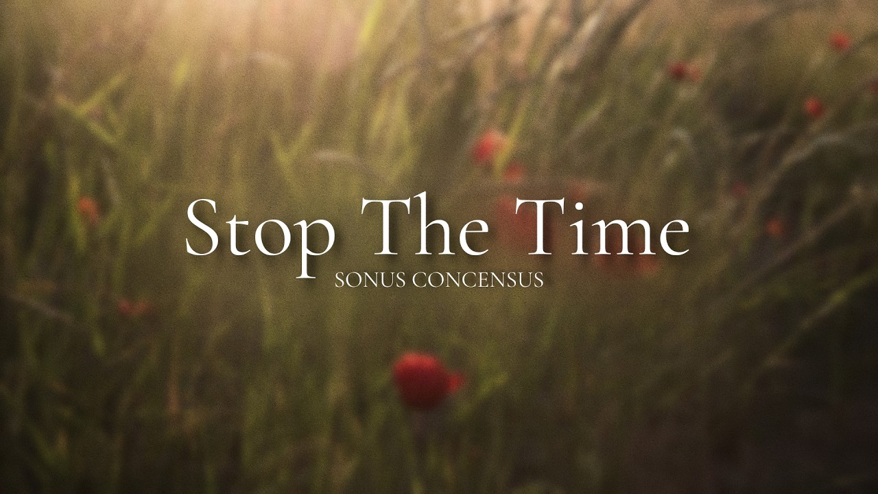 Stop the Time