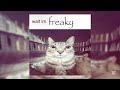 𝓕𝓻𝓮𝓪𝓴𝔂 Playlist
