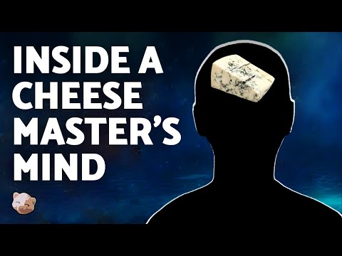 StarCraft 2 - FPV: Inside the Mind of a Cheese Master, Meomaika (1-game, ZvT)