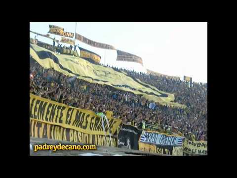 "La Copa Libertadores es mi obsesión - Barra Amsterdam vs Caracas" Barra: Barra Amsterdam &bull; Club: Peñarol