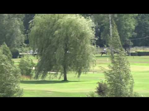 KV, 23. 7. 2017, 3. dostih - Cena RENOMIA AGRO