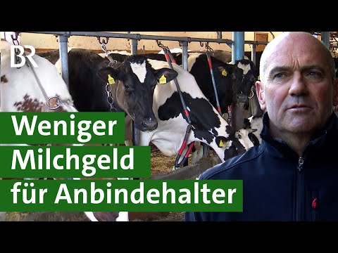 Weniger Milchgeld für Anbindehaltung | Unser Land | BR Fernsehen