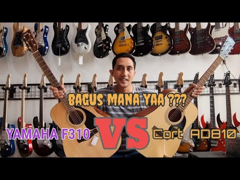 YAMAHA F310 VS CORT AD810 OP TELAGA MAS MUSIC