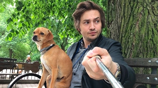 Scrupulous Gen-Y Dog Walker Secretly Fears He May Be Part of the Problem