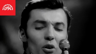Videoklip: Karel Gott - It Takes a Worried Man s textom piesne Videoklip Karel Gott - It Takes a Worried Man s textom piesne