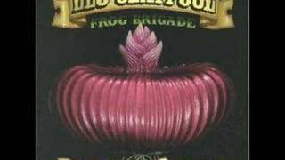 Les Claypool Frog Brigade - David Makalaster II