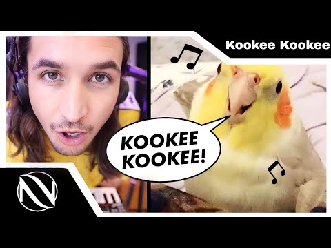 🦜 Kookee Kookee (CLUB ANTHEM) | SUBTITULADO EN ESPAÑOL | The Kiffness x Ginger the Cockatiel