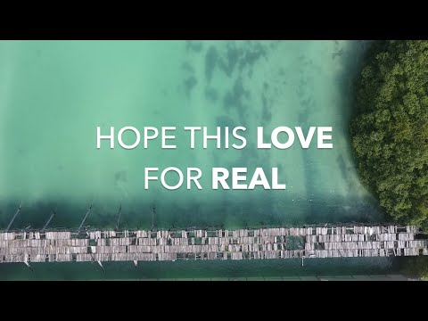 Hardage ft. Maxi Priest - Don’t Let Me Down (Gaudi Remix) [Lyrics Video]