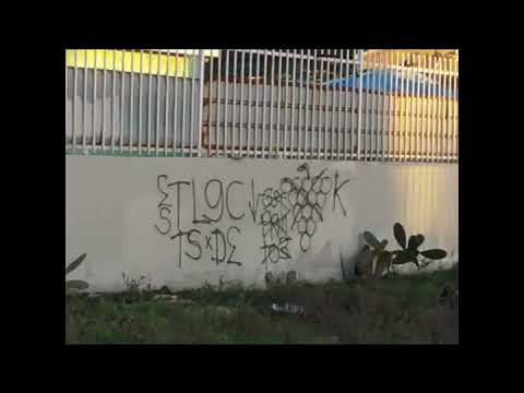 [YBN-LS] (IC) Ten Line Insane Crip: LUL JIMMY - fucc snoovasK