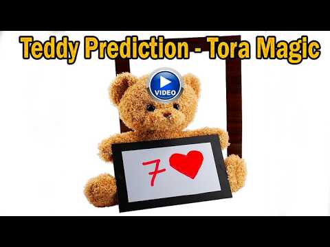 Voir la vidéo de Teddy Prediction - Tora Magic