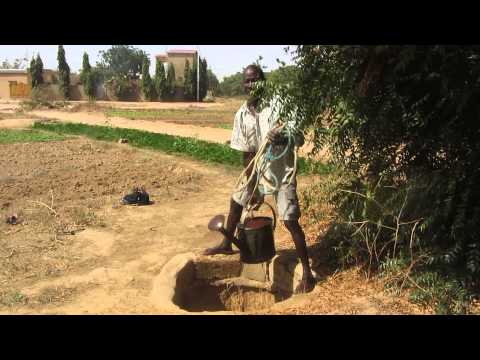 Farmer irrigating his farm with borehole