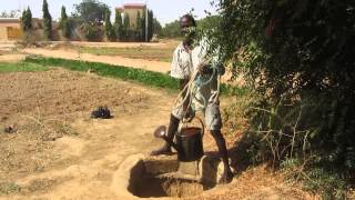 Farmer irrigating his farm with borehole