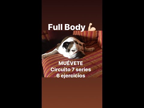 Circuito, 6 ejercicios, 7 series