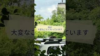 外に出るとすごい光景が…😳 #ロシア #夏 #海外生活