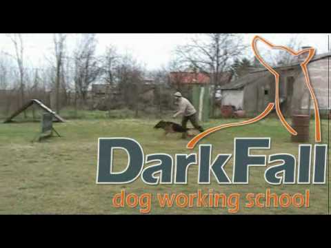 Kupfer Dylan aport part one