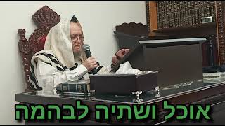 הלכה יומית (שלישי) -  אוכל ושתיה לבהמה