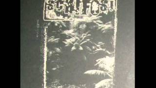 SCHIFOSI EP  (Side B)