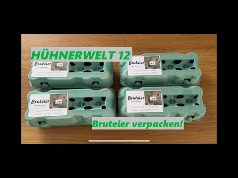 Hühnerwelt 12 Bruteier verpacken und lagern - Steinpiperl und Marans 02 - 2021