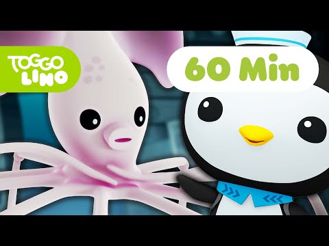 Die Oktonauten | Kalmare und Oktopusse | Ganze Folge Deutsch | Toggolino Serien