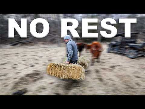 Permaculture & Illness: The "No Rest For The Sick" Reality