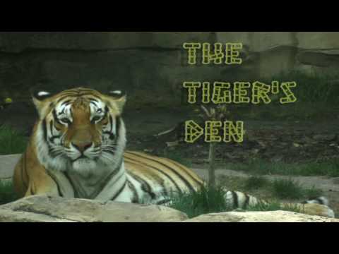 June 9th Power Trading Hour with David White on TFNN   2016
