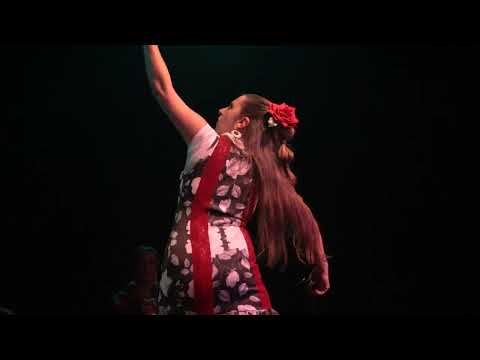 Seguirilla - Pellizcos - 18 de Julio de 2025 - Pasaje Dardo Rocha 