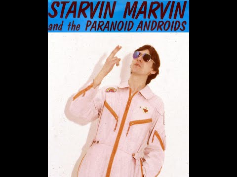Starvin Marvin - Working for success
