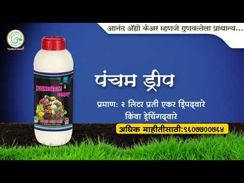 Plant Growth Promoter  - Pancham Drip